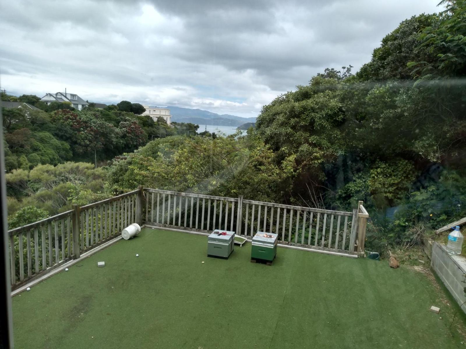 ウェリントンQuiet Location With View And Public Transportアパートメント エクステリア 写真